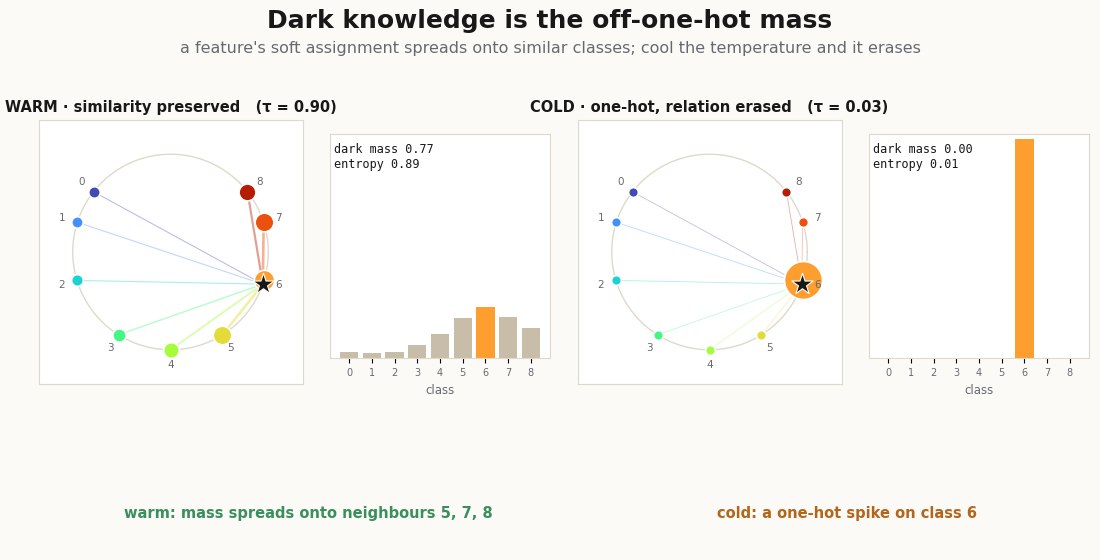 A feature's soft assignment over a graded codebook at two temperatures: warm spreads onto neighbouring classes, cold collapses to a one-hot spike