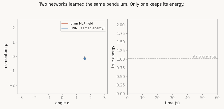 Two learned pendulum fields integrated from the same start: phase-space trajectories drawing left, true energy along each rollout drawing right; the plain field's energy leaves the dashed starting level while the HNN's stays on it