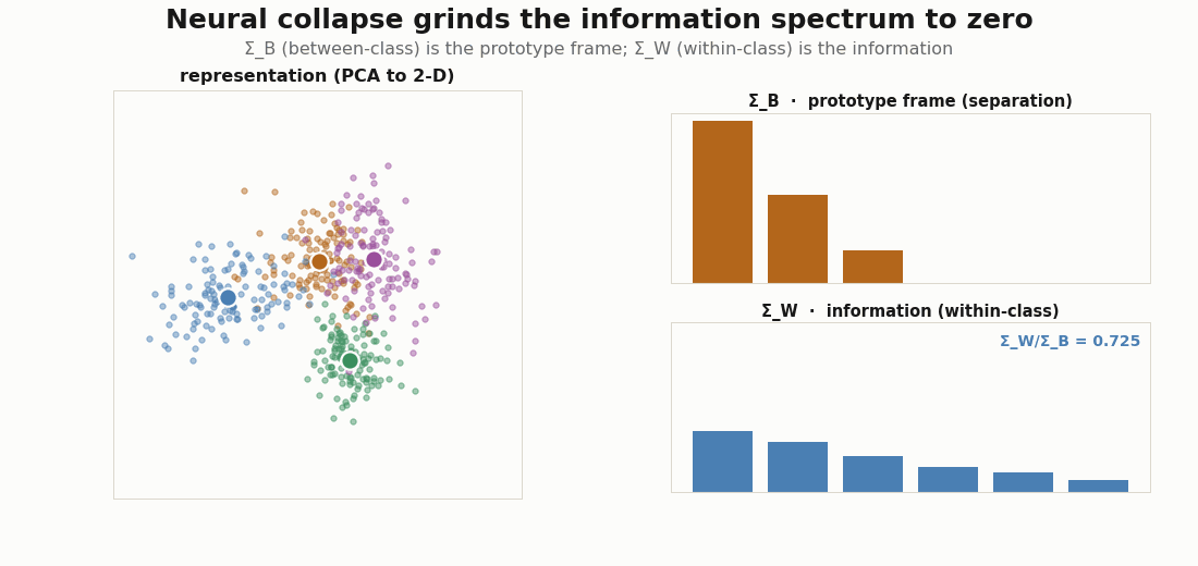 Animated neural collapse: a representation's within-class covariance spectrum shrinks to zero while the between-class spectrum keeps exactly C-1 modes