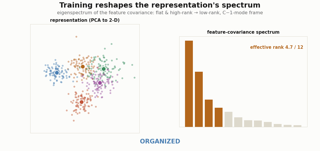 Animated feature-covariance eigenspectrum collapsing from a flat high-rank profile to a low-rank C-1-mode frame, with a state badge reading RANDOM, ORGANIZED, STRUCTURED