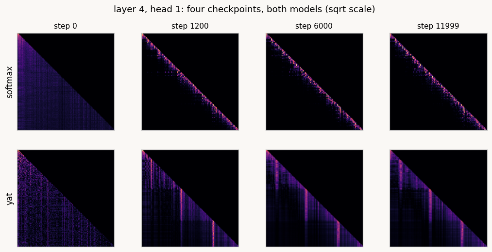 A grid of attention maps, four training checkpoints by two models, one layer and head, showing near-uniform haze at step 0 sharpening to structured routing at step 12000
